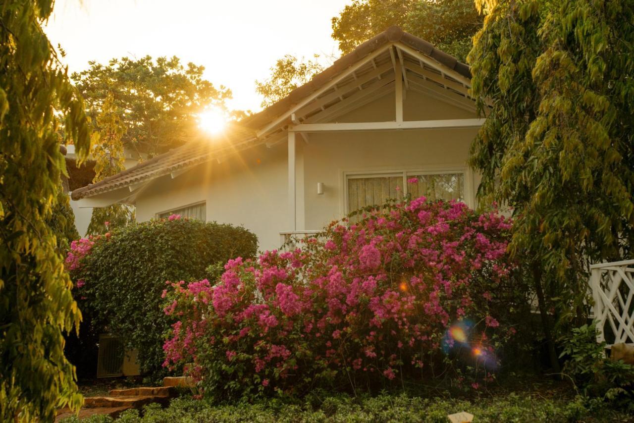 Fleur De Lys Resort & Spa Long Hải Exteriér fotografie