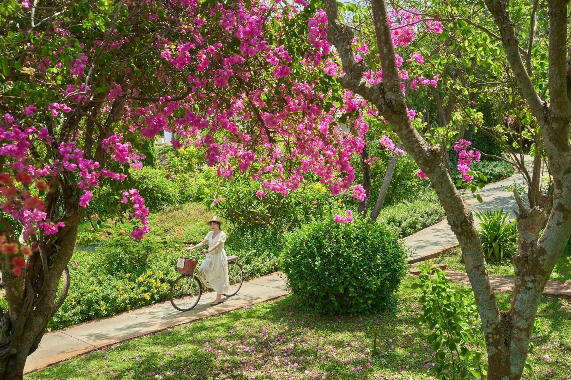 Fleur De Lys Resort & Spa Long Hải Exteriér fotografie